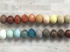 Naturally Dyed Easter Eggs: 3/27/18