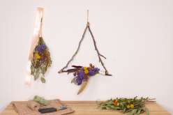 Botanical Boughs for All Seasons