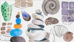 Mixtape: Paint and Draw Rocks and Shells
