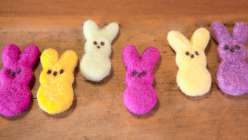 Intro to Needle Felting