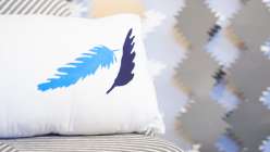 Cricut Crafts: Feather Home Décor