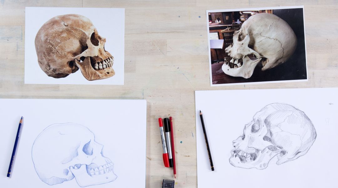 Drawing Skulls: 6/28/18