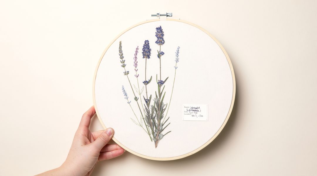 Thread Painting: Embroider with Pressed Flowers