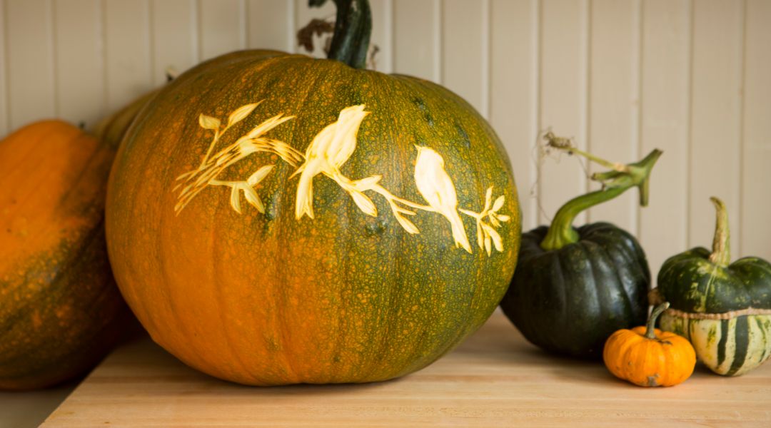 Halloween Pumpkin Carving