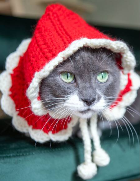 Creativebug Patterns and Printables