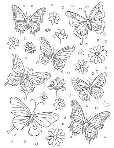 Butterflies