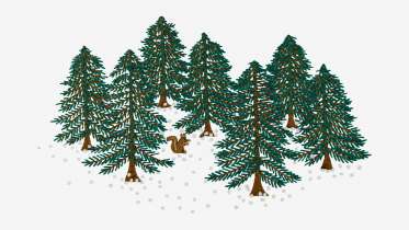 Evergreen Embroidery