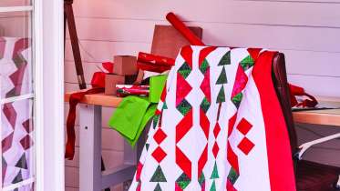 Cabin Gathering Quilt