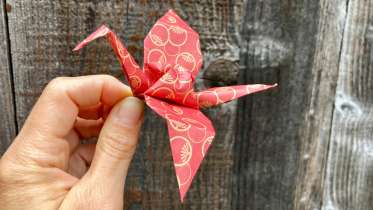 Fold a Paper Crane (Orizuru)