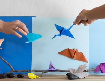Origami Safari: A Daily Practice