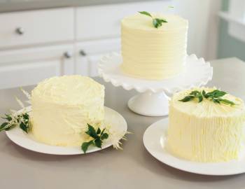 The Wilton Method: Three Ways to Ice a Cake