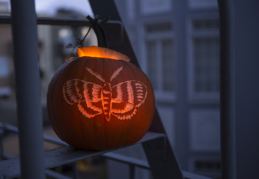 Courtney Cerruti teaches this class with techniques from printmaking to create carved pumpkin designs. You’ll have DIY Halloween ideas for silhouettes, glitter for your DIY Halloween party decorations. 