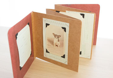 A picture of an accordion folded photo album made by Jody Alexander in her Creativebug class Accordion Photo Album.