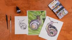 An overhead image of two monoprinted images of a snail made with acrylic ink and watercolor.