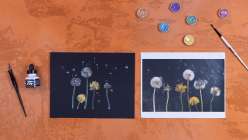 An overhead image of dandelions next to a black piece of paper with the same dandelions rendered in acrylic ink and metallic watercolors.