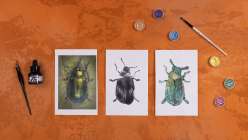 An image of a beetle alongside two monoprinted versions of the owl plus a bottle of acrylic ink and several cakes of metallic watercolor.