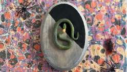 A small snake mounted to a black and silver plaque in Creativebug's Crafting Together: Spooky Specimens class on Creativebug