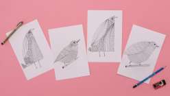 Four drawings of birds  from Lisa Congdon's Developing your Visual Vocabulary daily practice class on Creativebug