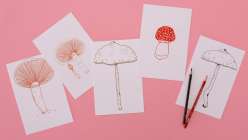 A selection of images of mushrooms from Lisa Congdon's Developing your Visual Vocabulary daily practice class on Creativebug
