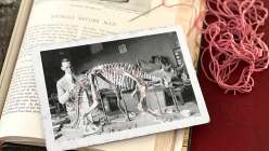 A black and white picture of a scientist with an animal skeleton embroidered in pink thread by Robert Mahar in his Creativebug Live session, co-taught by Courtney Cerruti on Creativebug.