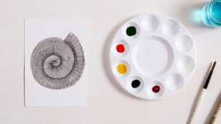 A watercolor nautilus shell made in the Creativebug class series Mixtape: Paint and Draw Rocks and Shells