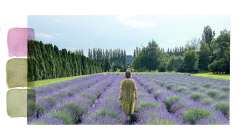Lorene Edwards Forkner in a field of lavender 