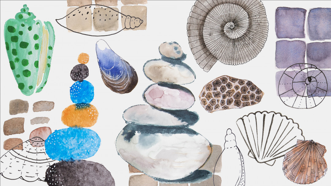Mixtape: Paint and Draw Rocks and Shells by CBTV - Creativebug